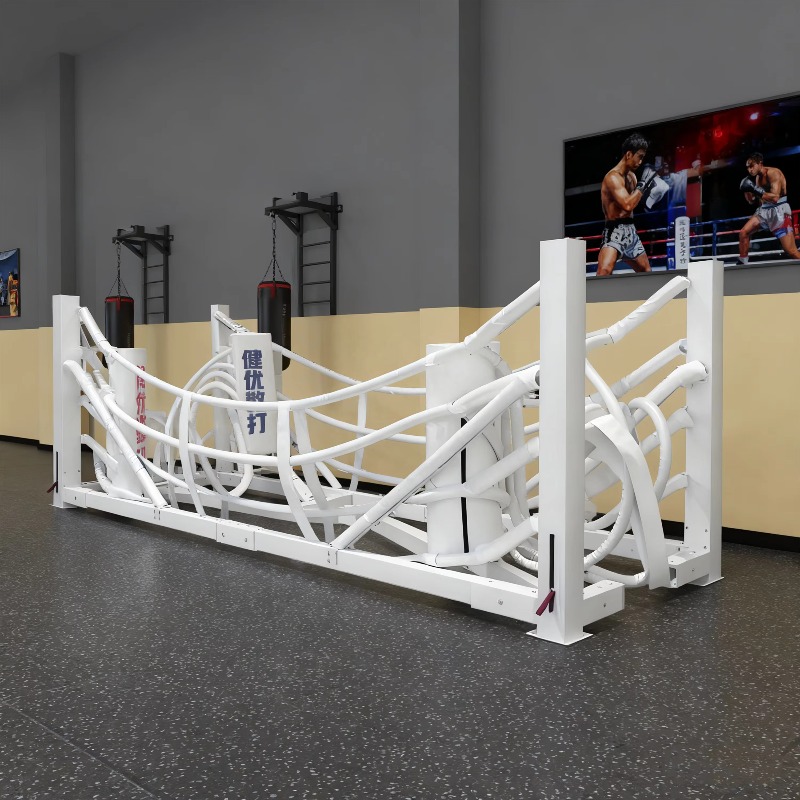Foldable Gym Boxing Ring Set S - đánh giá và giá Home Gym Foldable