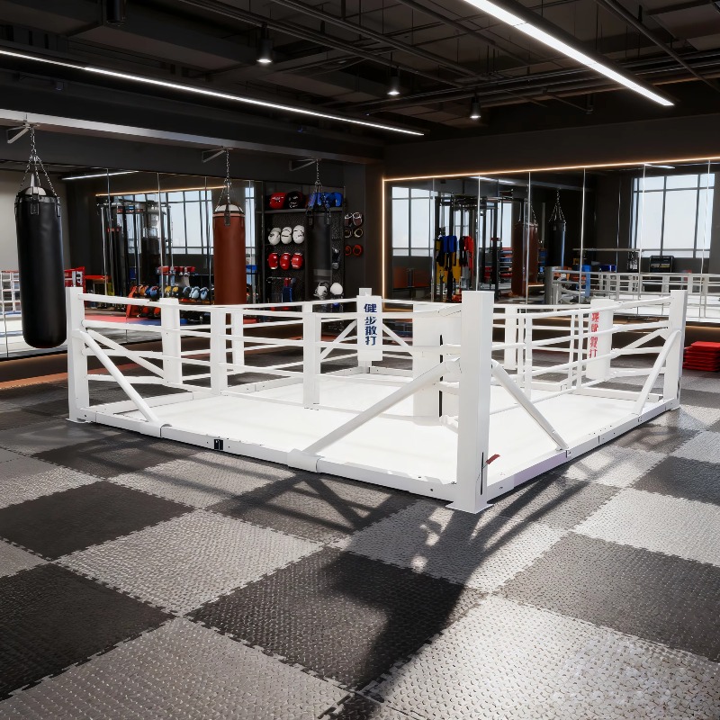 Foldable Gym Boxing Ring Set S - đánh giá và giá Home Gym Foldable