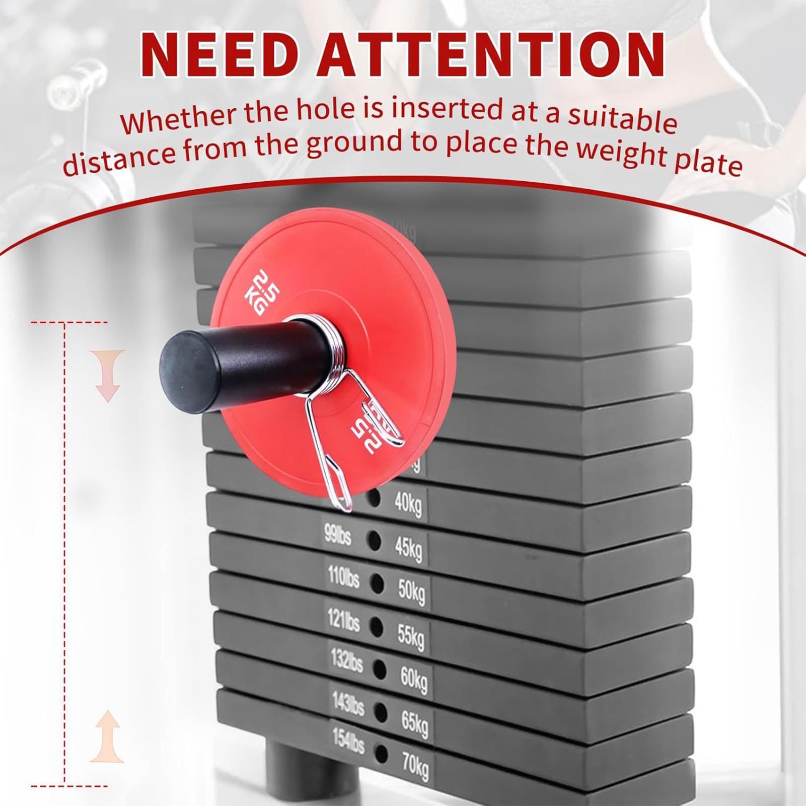 Gym Pin With Spring Clip Colla - đánh giá và giá Home Gym Hyrox