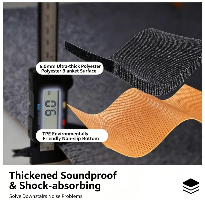 Heavy-Duty Sound Absorbing Rug - đánh giá và giá Home Gym Training Program