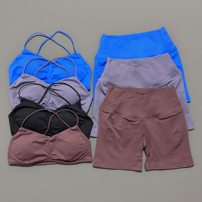 2 Piece Vision Gym Set Women Y - đánh giá và giá Home Gym Full Body