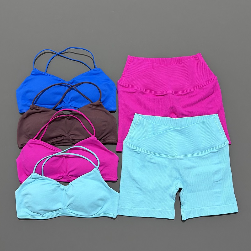 2 Piece Vision Gym Set Women Y - đánh giá và giá Home Gym Full Body