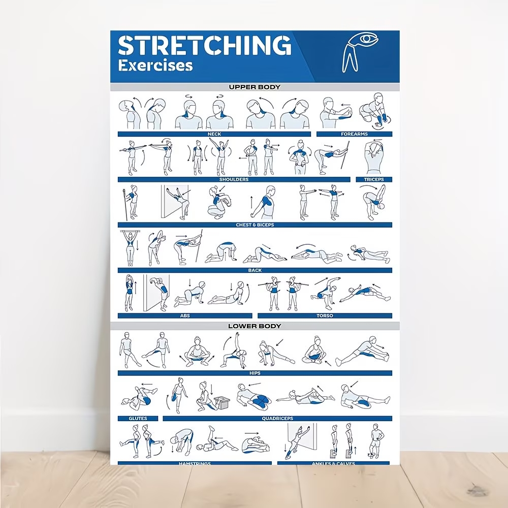 Modern Labeled Full-Body Stret - đánh giá và giá Home Gym Full Body