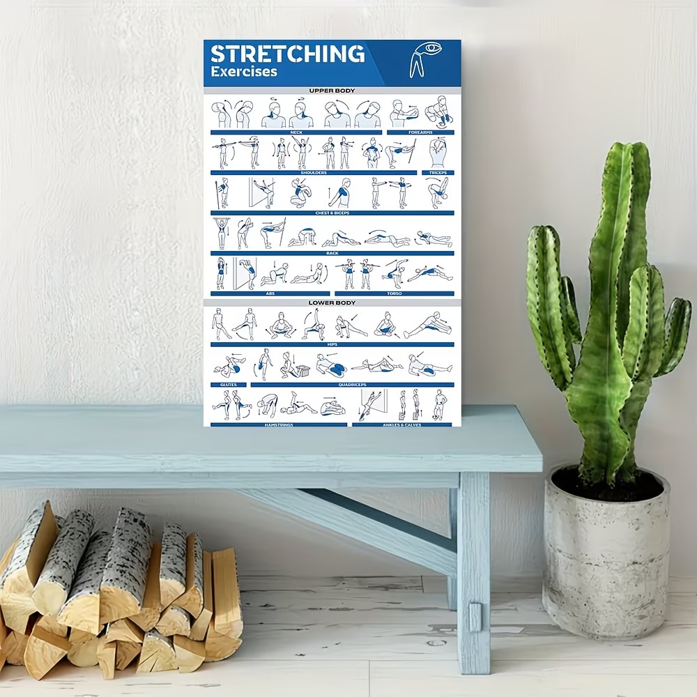 Modern Labeled Full-Body Stret - đánh giá và giá Home Gym Full Body