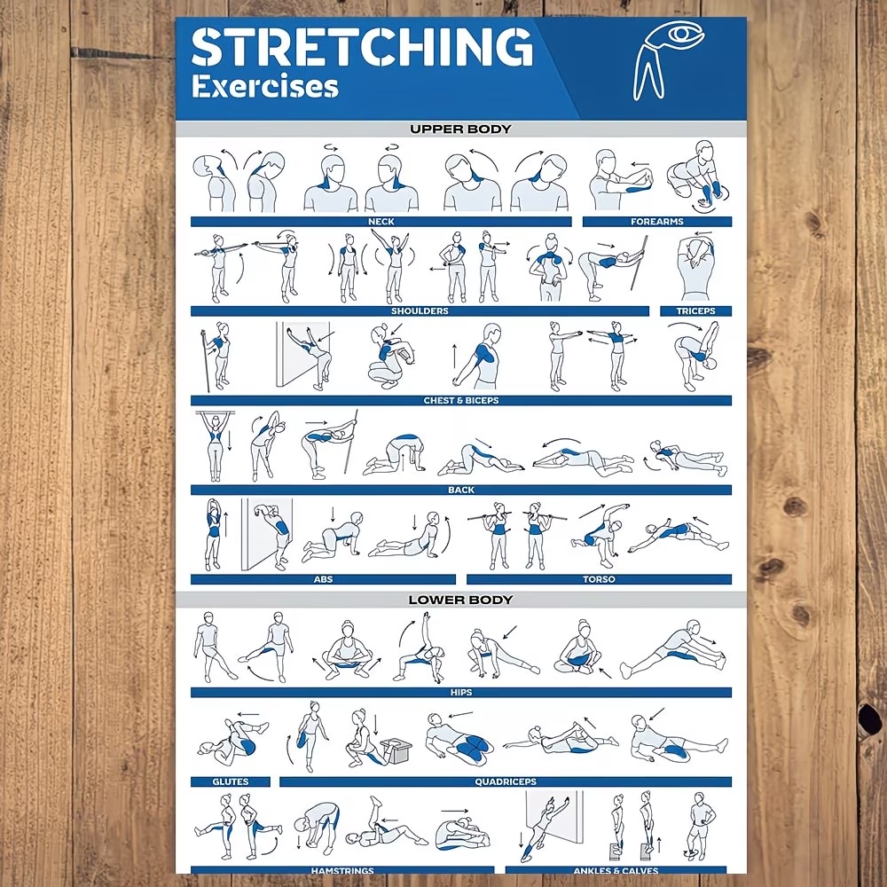 Modern Labeled Full-Body Stret - đánh giá và giá Home Gym Full Body