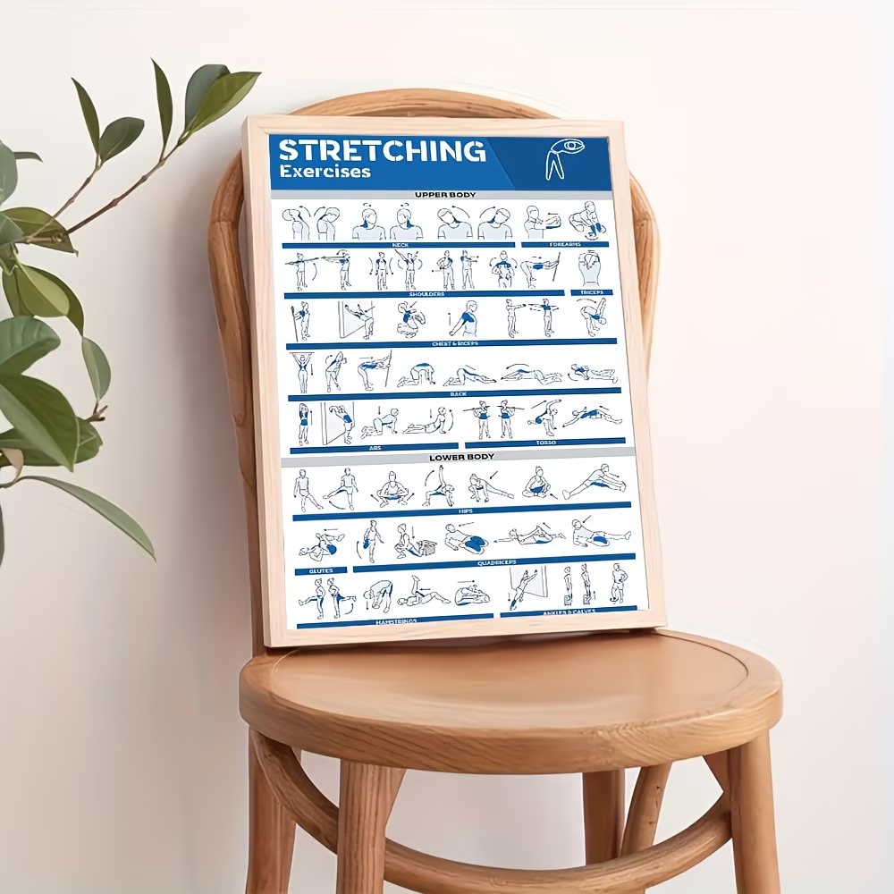 Modern Labeled Full-Body Stret - đánh giá và giá Home Gym Full Body