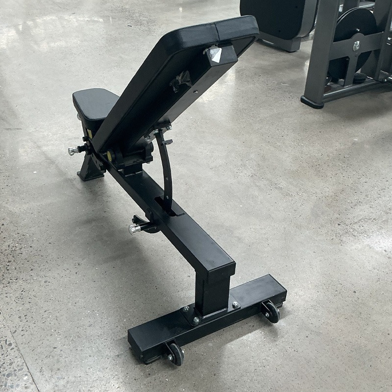 Adjustable Home Gym Dumbbell B - đánh giá và giá Home Gym Foldable