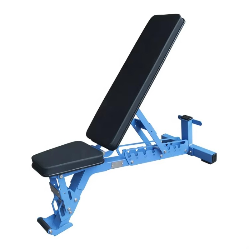 Commercial Foldable Flat Dumbb - đánh giá và giá Home Gym Foldable